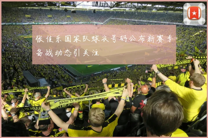 张佳乐国家队球衣号码公布新赛季备战动态引关注