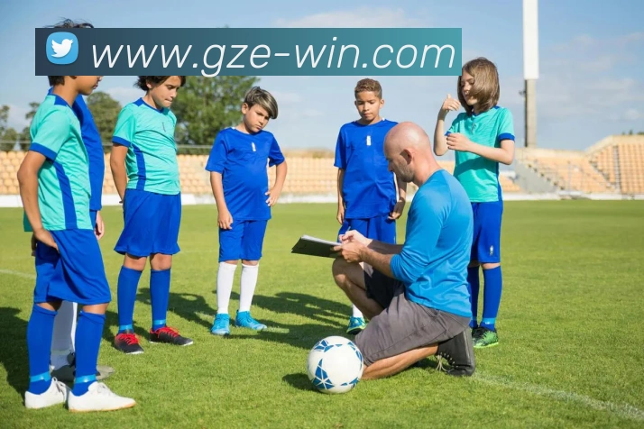 云开体app官网入口发展历程